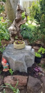 IMG-20210517-WA0000-1