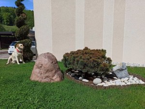 IMG_20210515_144940