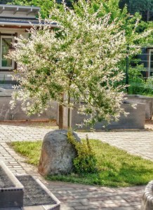 dekostein-hohl-garten-kunststeine-felsen-kunststeinabdeckung-s03grey-17-1